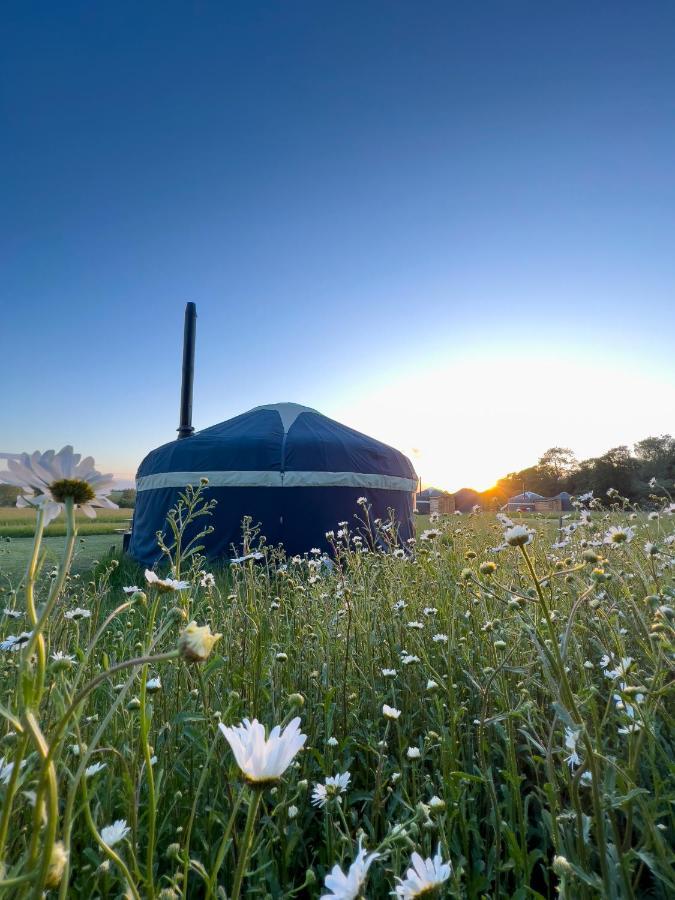 Wild Meadow, Lodge Farm, East Raynham Фейкенем Екстер'єр фото