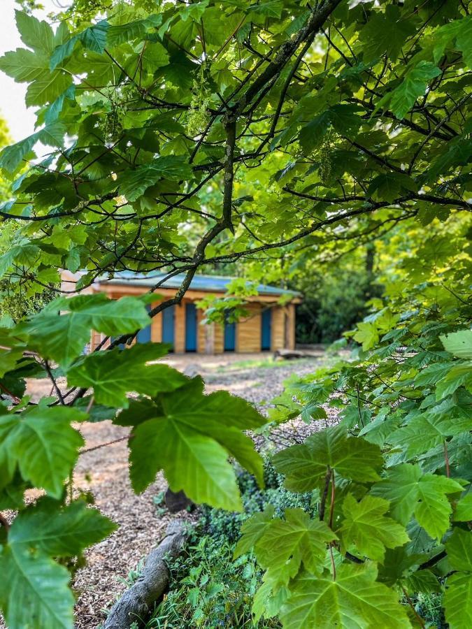 Wild Meadow, Lodge Farm, East Raynham Фейкенем Екстер'єр фото