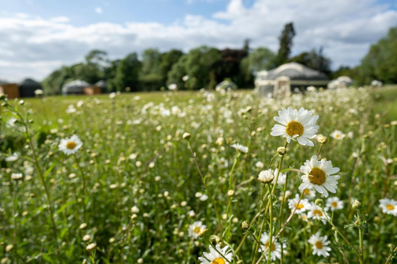 Wild Meadow, Lodge Farm, East Raynham Фейкенем Екстер'єр фото