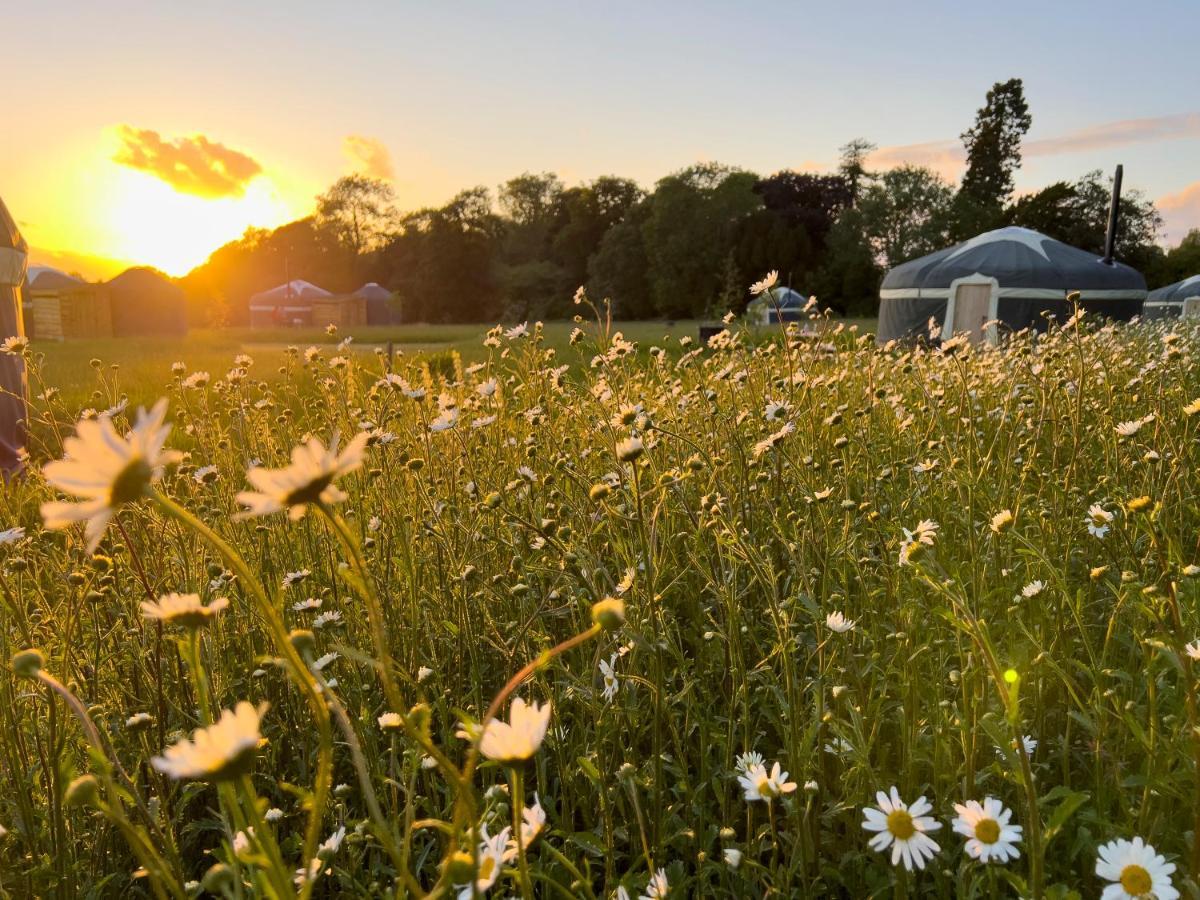 Wild Meadow, Lodge Farm, East Raynham Фейкенем Екстер'єр фото
